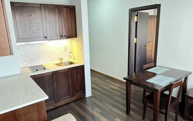 Altitude Mountain Apartments Aspen