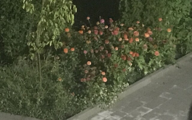 Hotel Emro