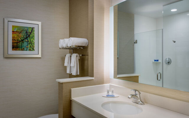 Fairfield Inn & Suites Dallas West/i-30