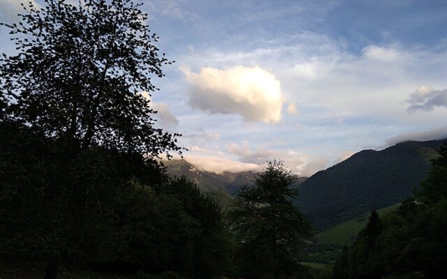 Les Insolites d'Eljie