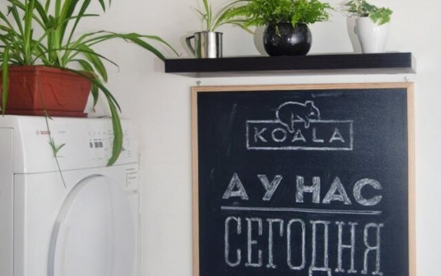 Koala hostel