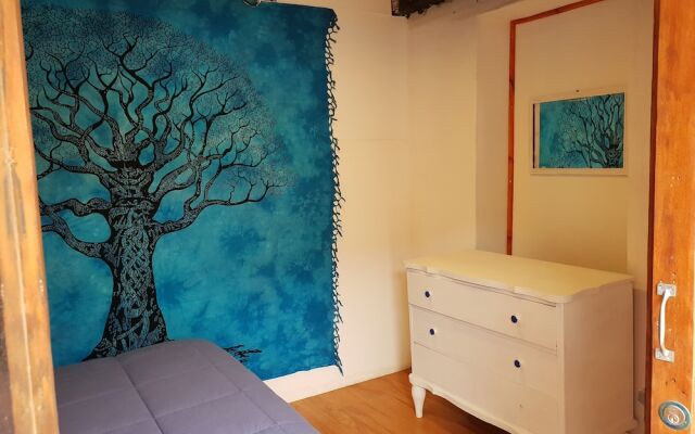 Nomad Paddle Hostel