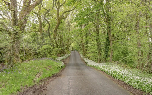 21 Entry Lane