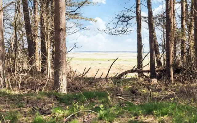 Tranquil Haven in Lyngsa - By Traum Ferienwohnungen