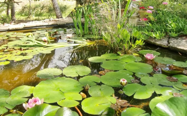 House With 3 Bedrooms in Muro, With Wonderful Mountain View, Enclosed Garden and Wifi - 5 km From the Beach