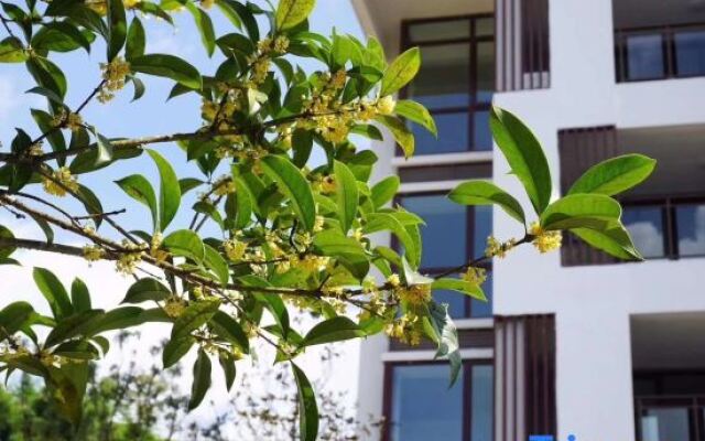 Tengchong Floating Residential Site · Hot Spring Hotel Apartment