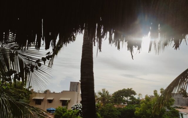 Pousada Tropical Brasil