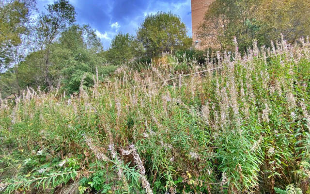 Pleta de Soldeu 345 hasta 4 personas.