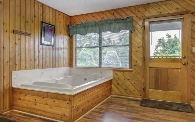 LeConte View 1 - One Bedroom Cabin