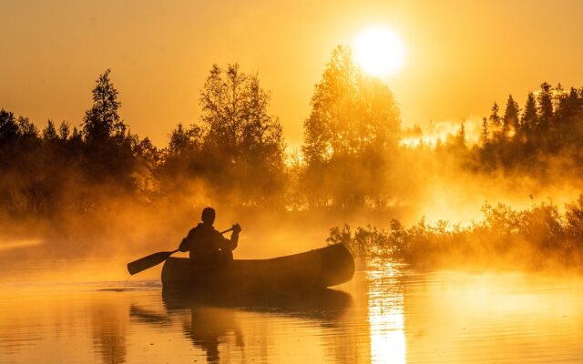 Metsä Kolo