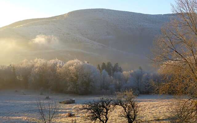 B&B Bouton D'Or La Bouriotte