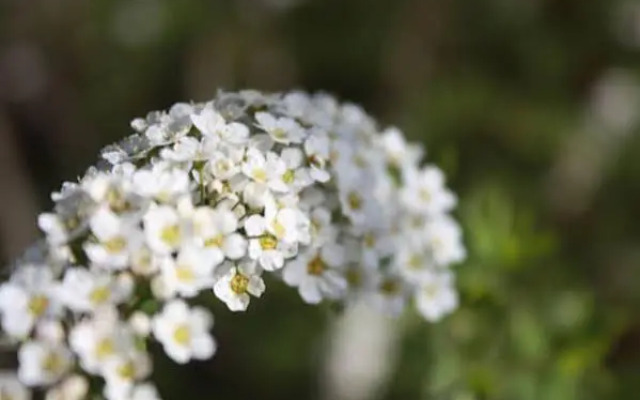 Posada Fuenteplateada