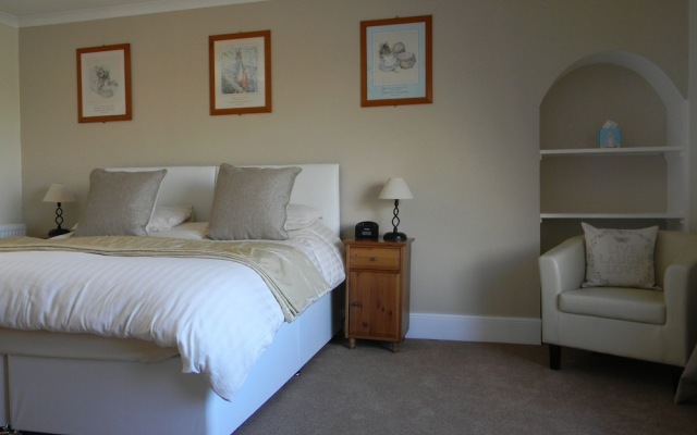 Harbour Lights Guesthouse