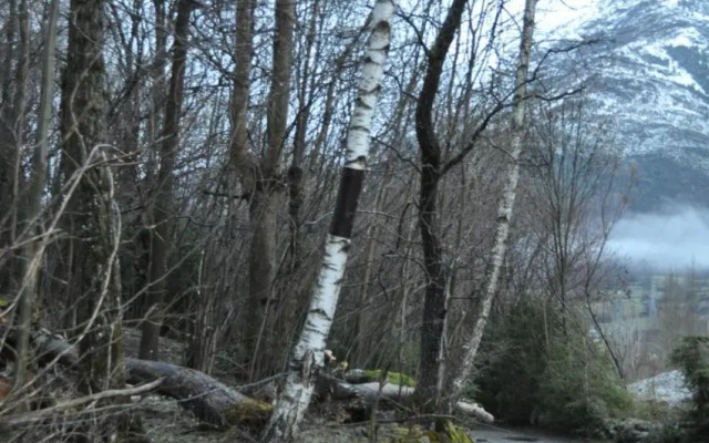 RES Valle de Benasque 31