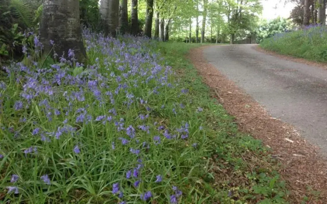 Cadson Manor Self Catering