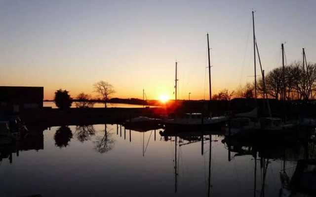 Swallow's Nest in the House by the Pond