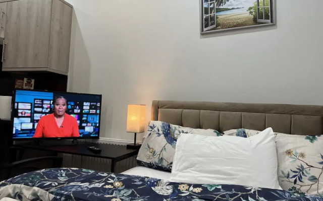 Entire Studio apartment - London