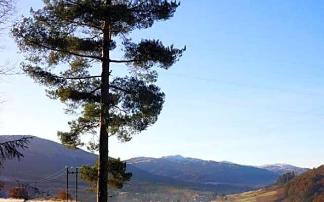 Cosy Rowan woodland lodge no3