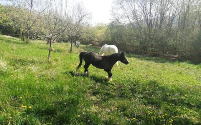 Studio Bar sur Mulhouse Sud