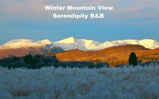 Serendipity Bed And Breakfast