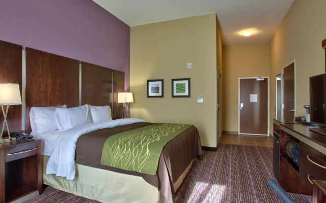 Comfort Inn & Suites Dothan East