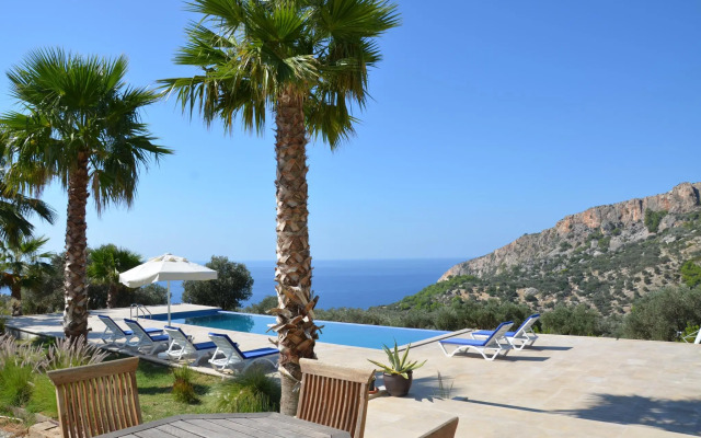 Guesthouse Camelion