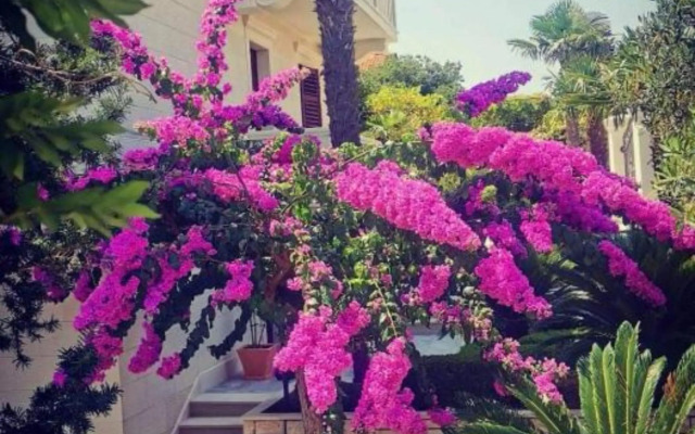 White house Supetar-Brač