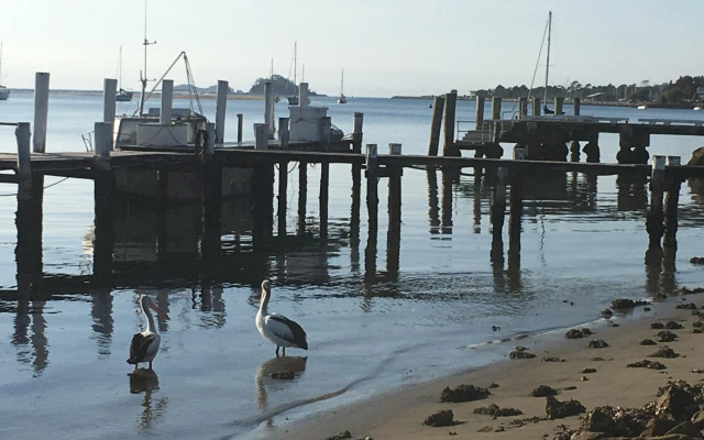 Rio Rita Ocean View Apartments