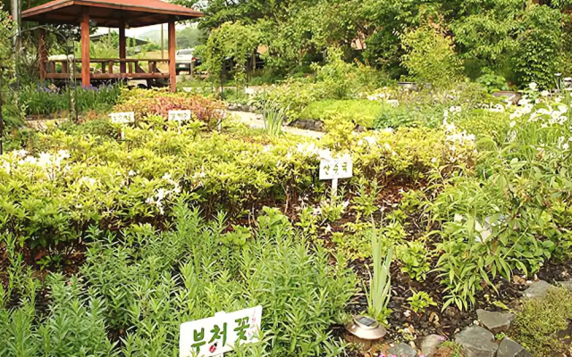 Greentopia pension