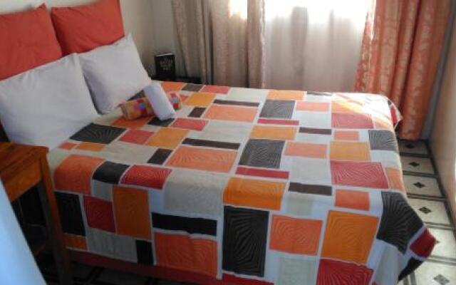Authentic Bicycle Tours and Backpackers