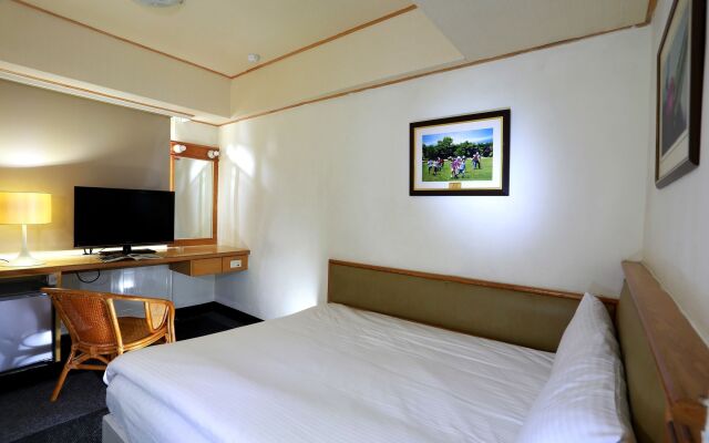 The Lion Hotel