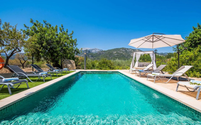 Puig d'en Guardiola ID:74768