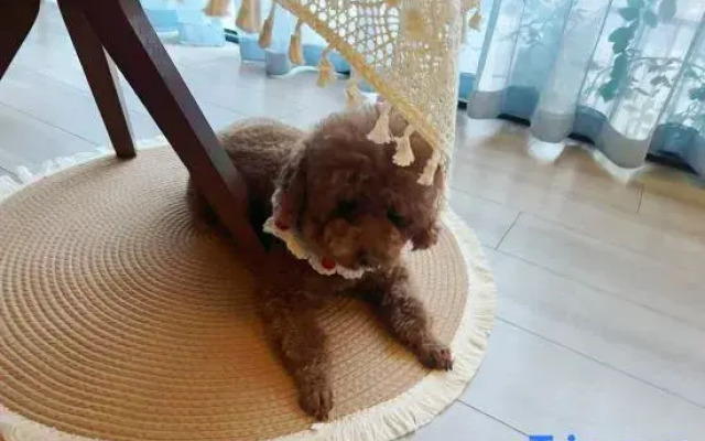 Bome Tibethostel Resort Hotel