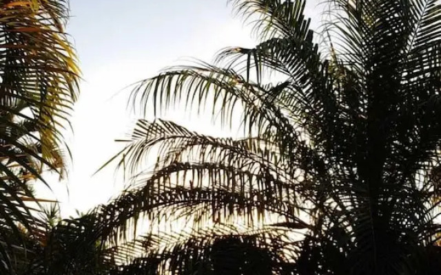 Casa Jardim Secreto II