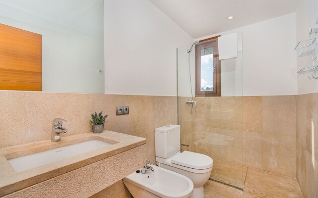 NEW 2020 - Empaltada