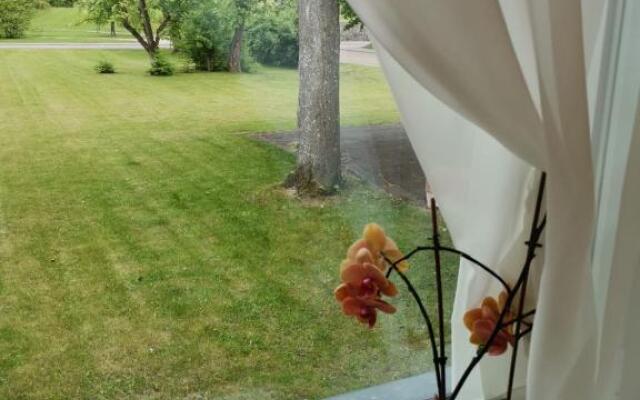 Guest house Baltika