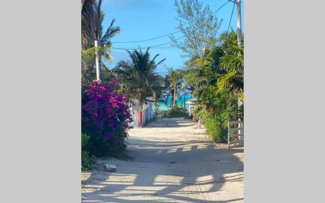 Coconut Palm House - El Cuyo