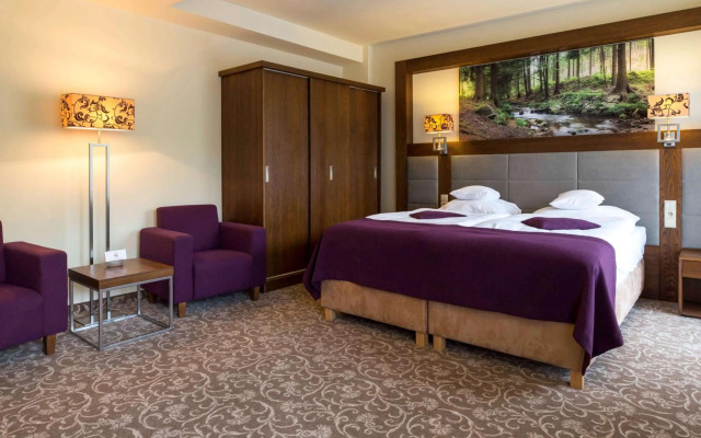 Hotel Mercure Krynica Zdroj Resort & Spa
