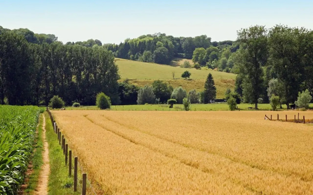 Restored Farmhouse in Wijlre With two Terraces