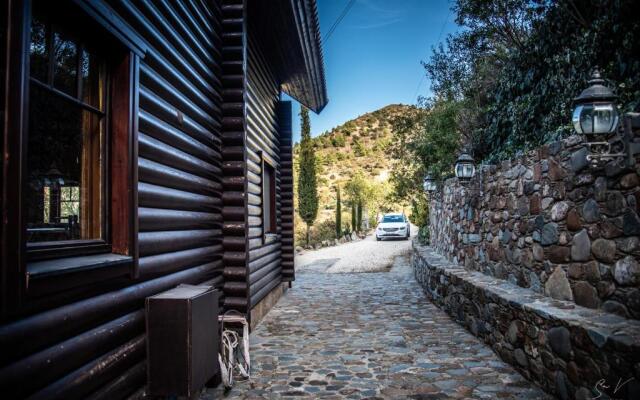 *2 bdr log house /mountains/Queen bed/fireplace