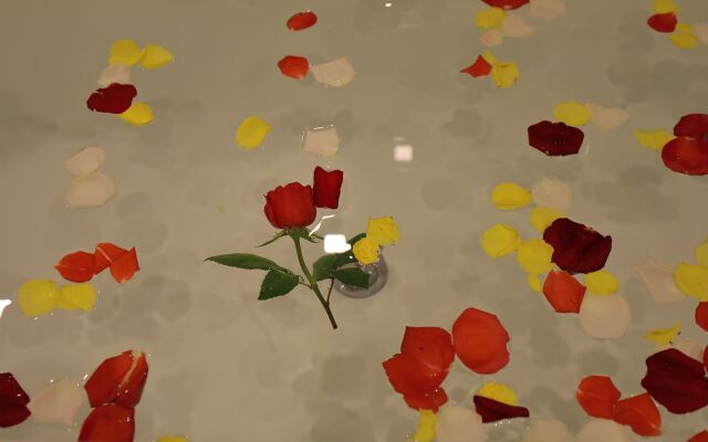 Hoi An Odyssey Hotel