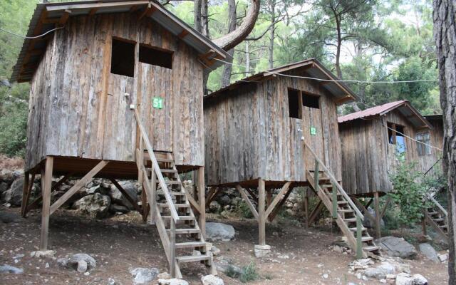 Saban Tree Houses