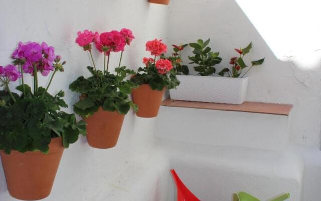 Fan Flat San Juan