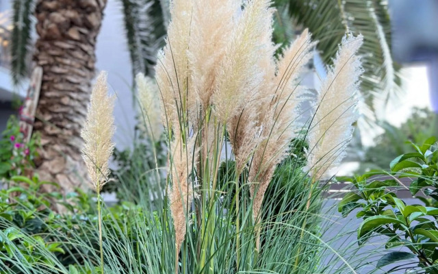 Phoenix Garden Apartment I