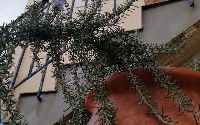 Venetia 1-bed Apartment on the First Floor