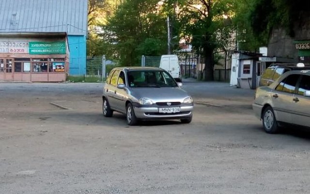 Guesthouse In The Downtown Borjomi