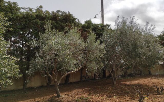 Naxos Cottage