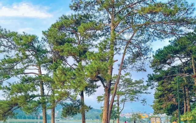 Villa Truby Da Lat
