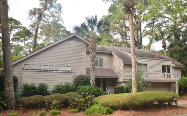 2 Red Cardinal by RedAwning