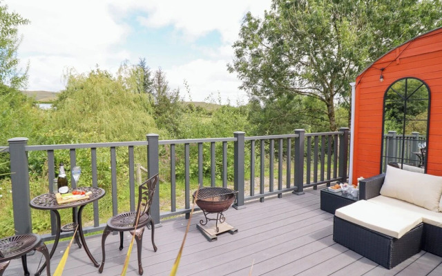 Red Kite at Wild Valley Huts